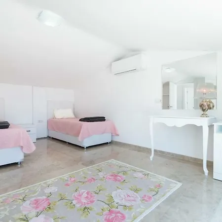 Moana - * Kalkan